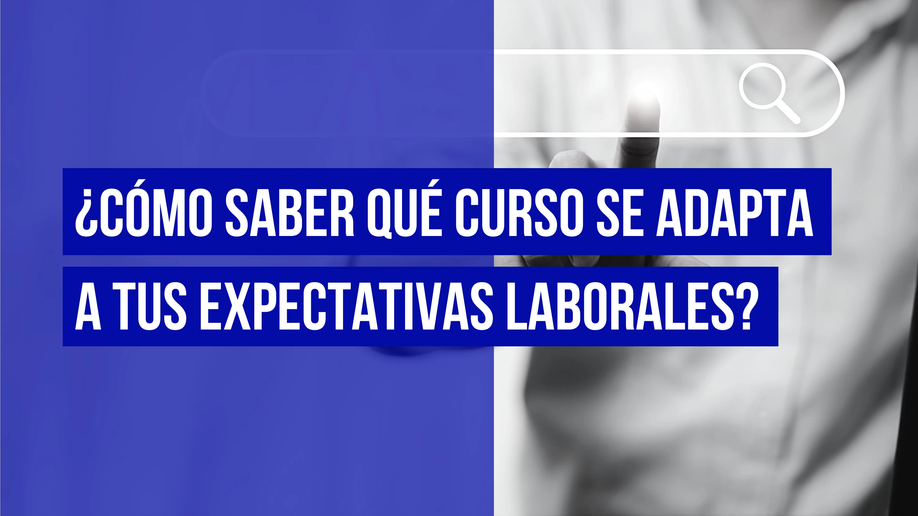 qué curso elegir