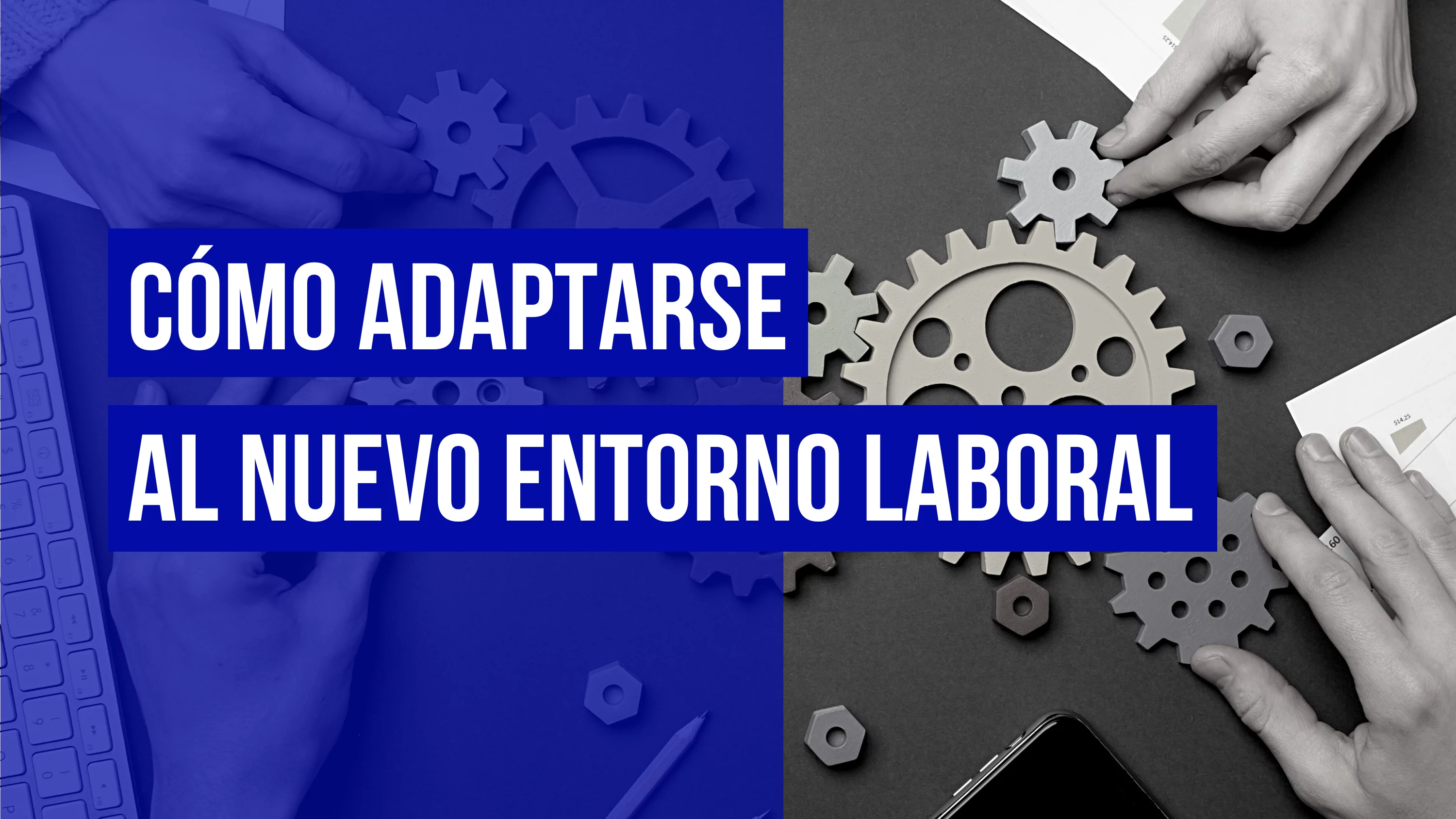 adaptarse al nuevo entorno laboral
